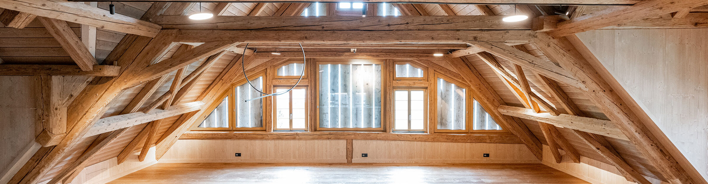 Umbau Trotte zu Wohnungen, Küssnacht am Rigi