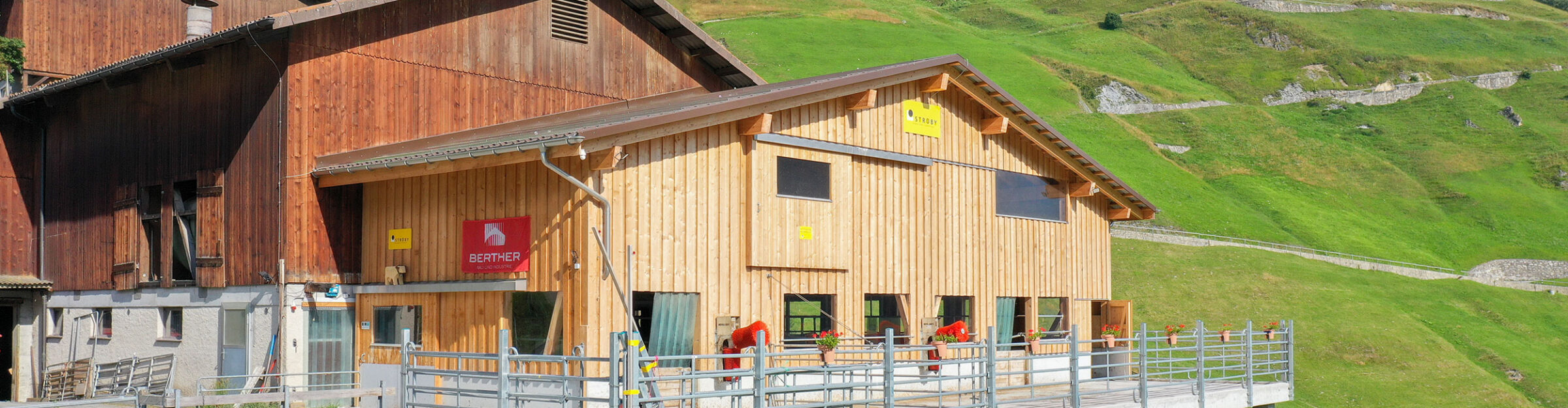 Mutterkuhstall, Um- und Anbau, Curaglia GR