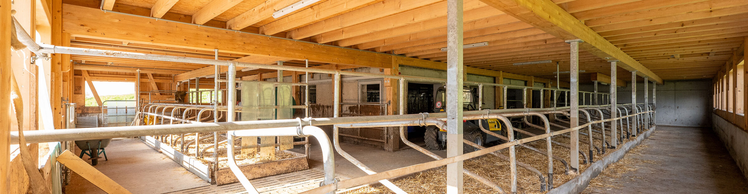 Mutterkuhstall, Um- und Anbau, Curaglia GR