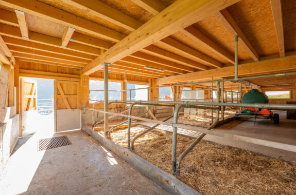 Mutterkuhstall, Um- und Anbau, Curaglia GR