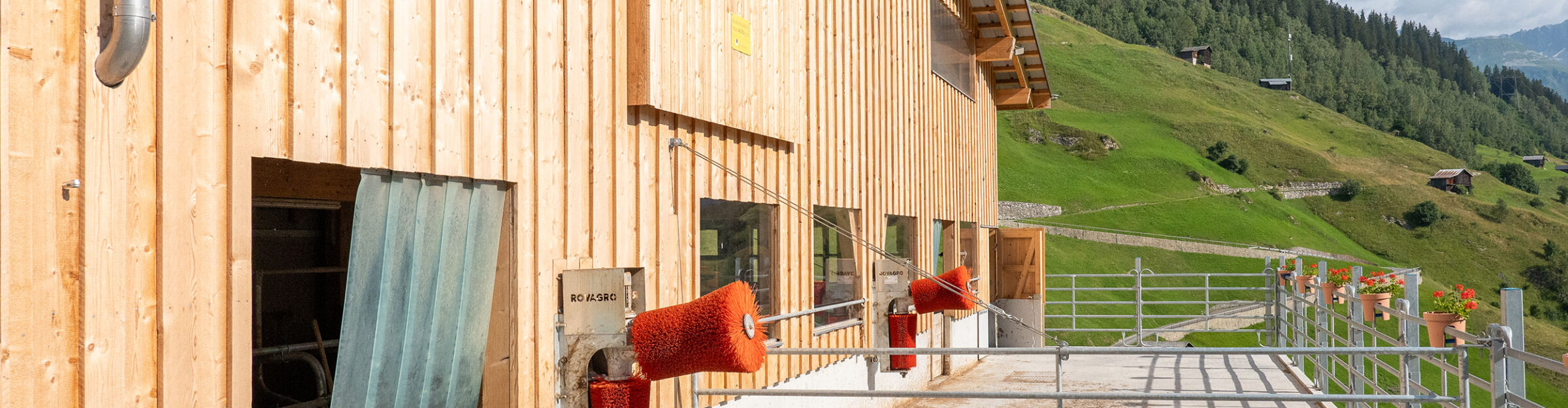 Mutterkuhstall, Um- und Anbau, Curaglia GR