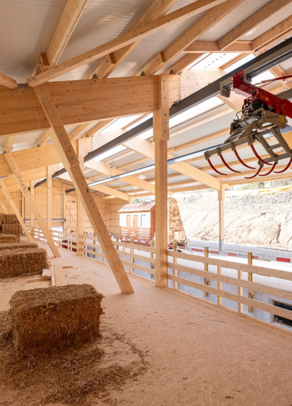 Aufzucht- und Mutterkuhstall, Frenkendorf BL