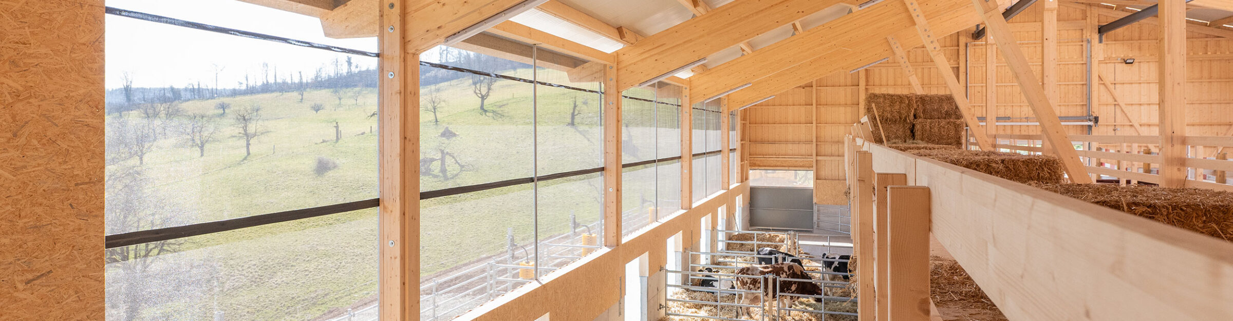 Aufzucht- und Mutterkuhstall, Frenkendorf BL
