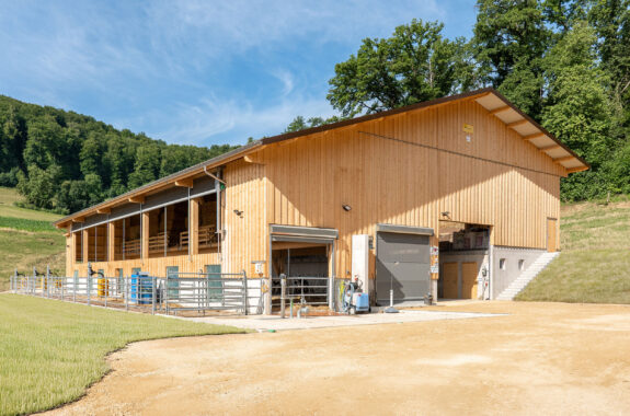 Aufzucht- und Mutterkuhstall, Frenkendorf BL