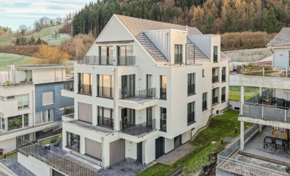 Mehrfamilienhaus, Pfäffikon SZ