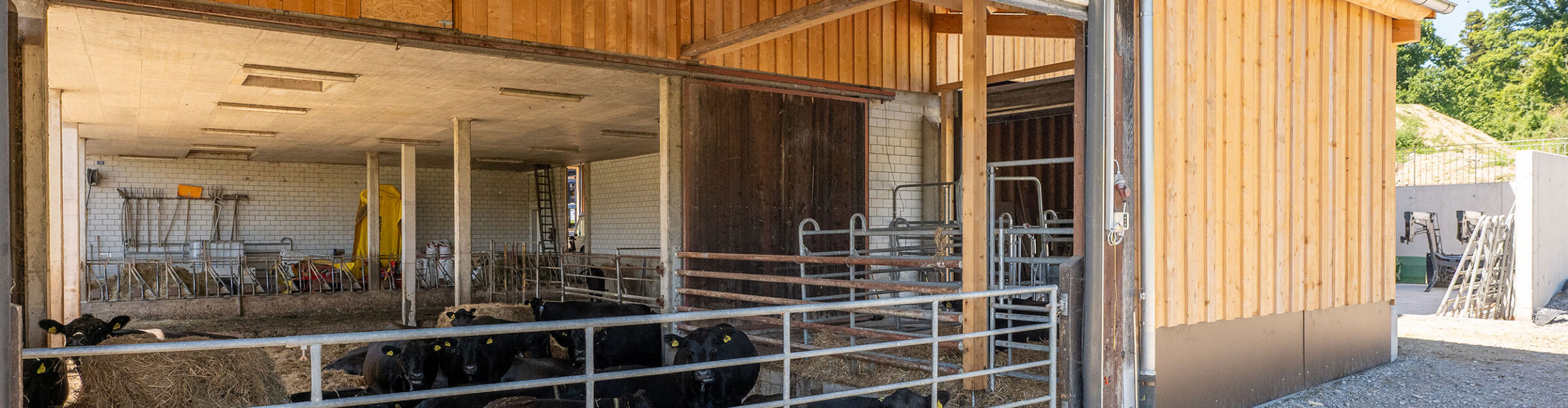 Erweiterung und Anpassung landw. Siedlung, Grüningen ZH