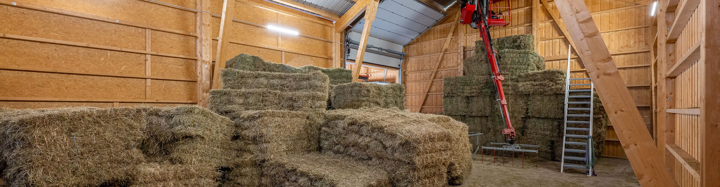 Erweiterung und Anpassung landw. Siedlung, Grüningen ZH