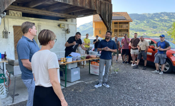 Einfamilienhaus Umbau und Sanierung, Lauerz SZ