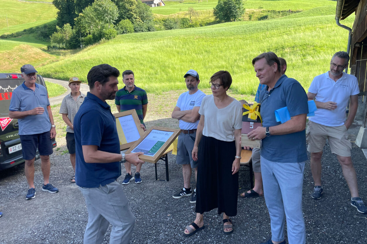 Einfamilienhaus Umbau und Sanierung, Lauerz SZ