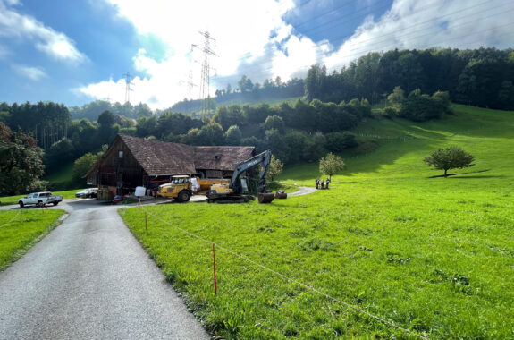 Milchviehstall, Goldau SZ