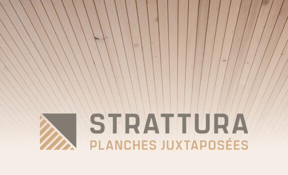 Einführung Strattura