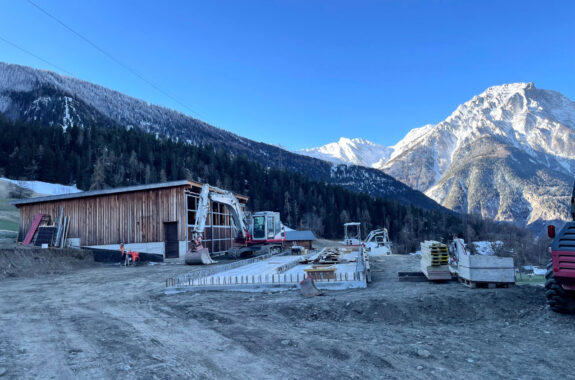 Mutterkuhstall, Termen VS