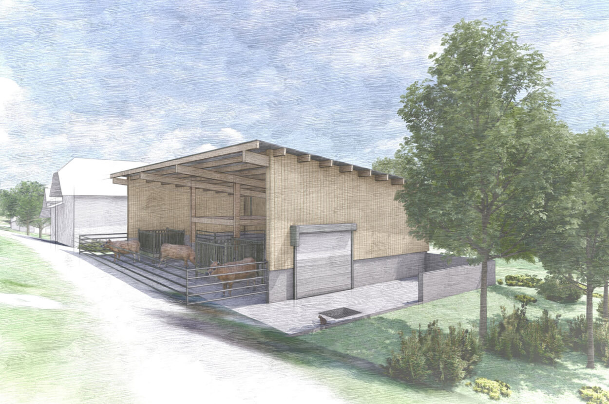 Mutterkuhstall, Ersatzneubau, Lenzburg AG