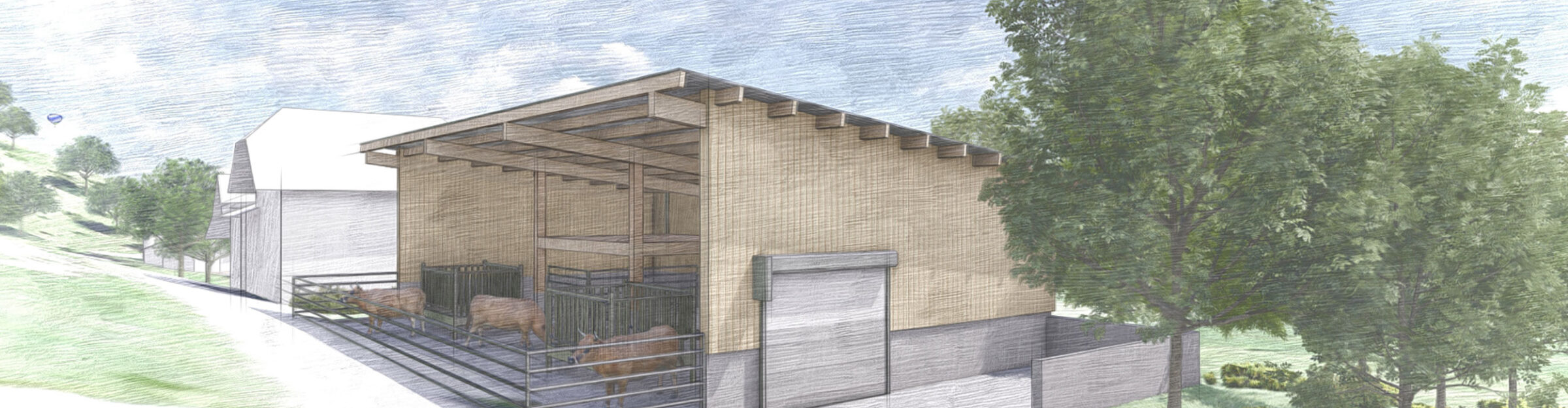 Mutterkuhstall, Ersatzneubau, Lenzburg AG