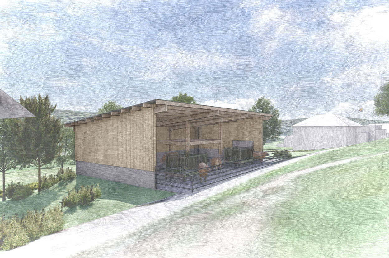 Mutterkuhstall, Ersatzneubau, Lenzburg AG