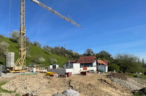 Mutterkuhstall, Ersatzneubau, Lenzburg AG