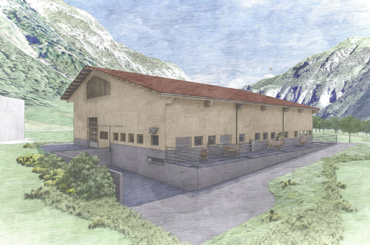 Mutterkuhstall mit Futterlager, Vättis SG