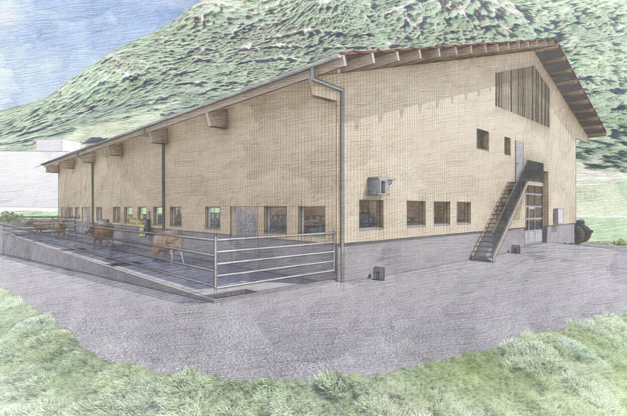 Mutterkuhstall mit Futterlager, Vättis SG