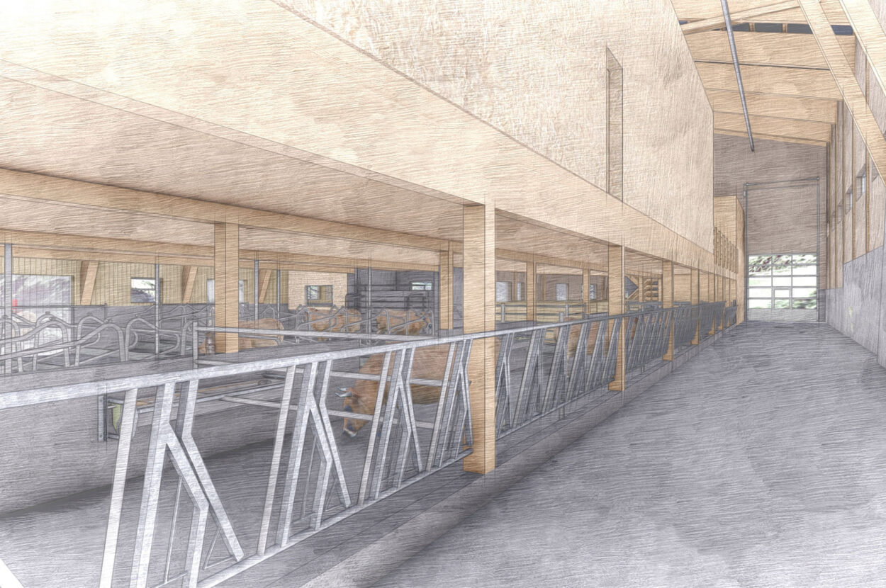 Milchviehstall mit Futterlager, Luven GR