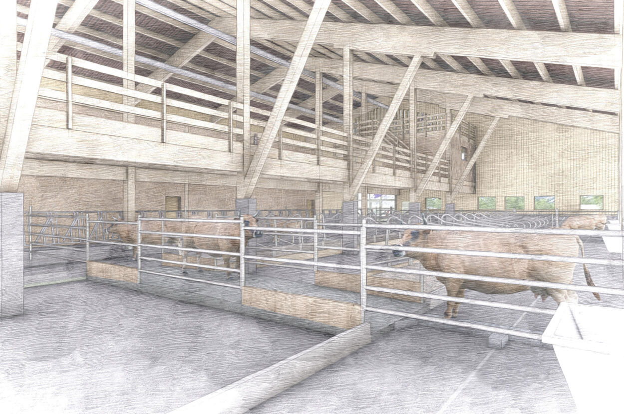 Mutterkuhstall mit Futterlager, Vättis SG