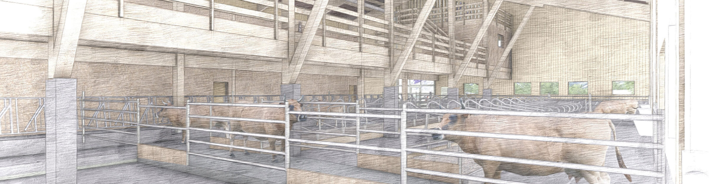 Mutterkuhstall mit Futterlager, Vättis SG